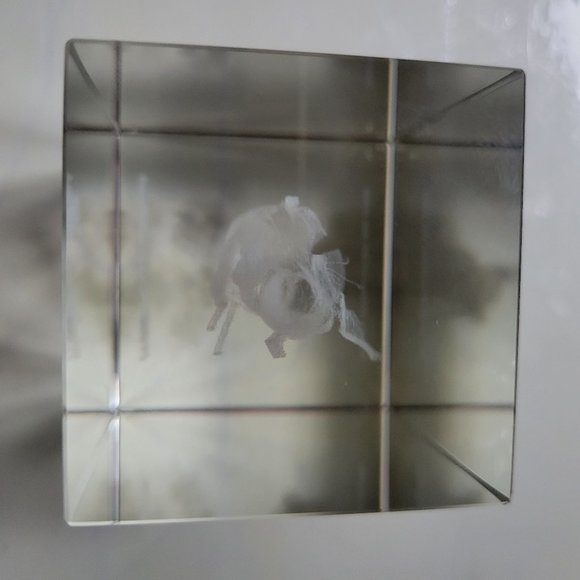 Hakuoki Saito 3D Crystal LED Light Up Figure Prism Hakuouki Rare - Picture 6 of 12